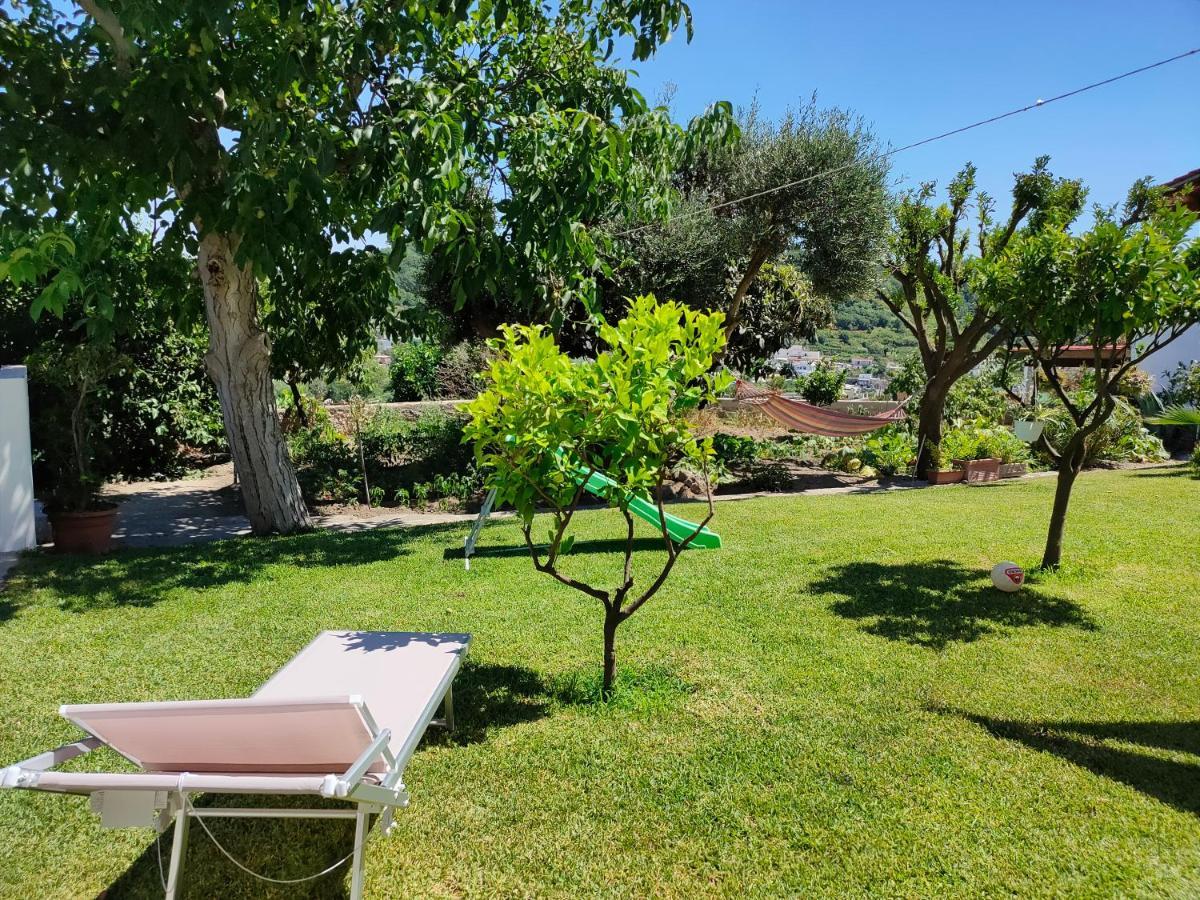 Il Giardino Apartamento Barano dʼIschia Exterior foto